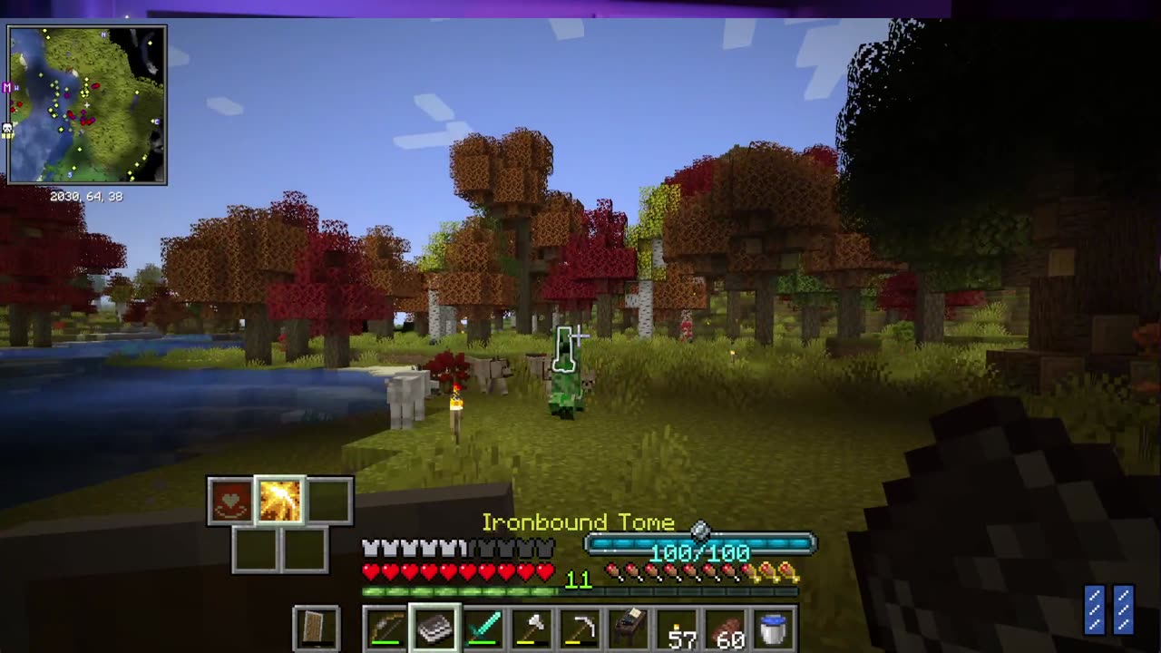 The Cat Has a Grimoire!!