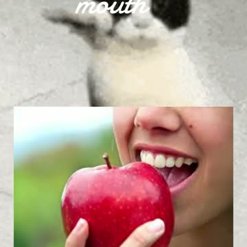 how to eat an apple