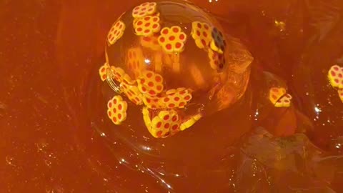 Rating the SCOOPABILITY of SLIME 🥄