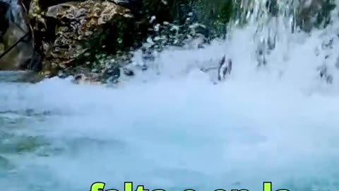 😊 201 TU FE ATRAE LOS MILAGROS Mateo 9:29 😊