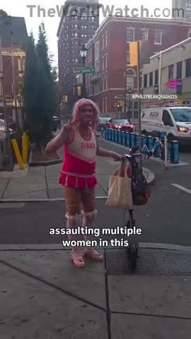 Average Mamdani voter