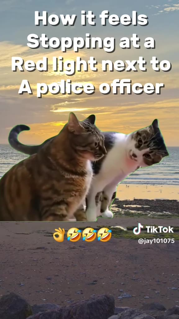 How it feels Stopping at a Red light next 😳to A police officer