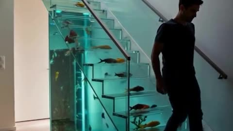 The most unusual staircase🐟