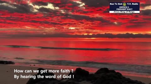 BIBLE CLIPS FOR YOU