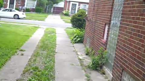 Ok, we are here for On Murry hill st for haywarD