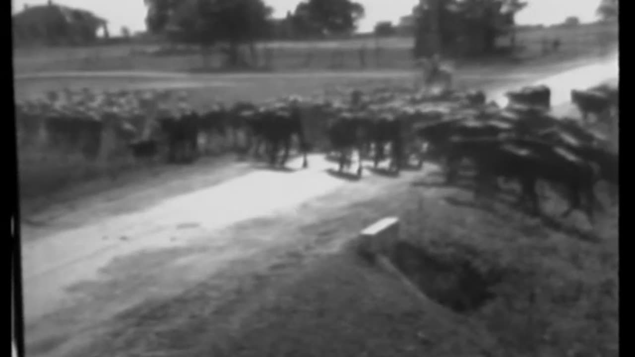 SALVAGING DROUGHT CATTLE IN TEXAS - SALVAGING DROUGHT CATTLE IN TEXAS - 33-496-r1-2