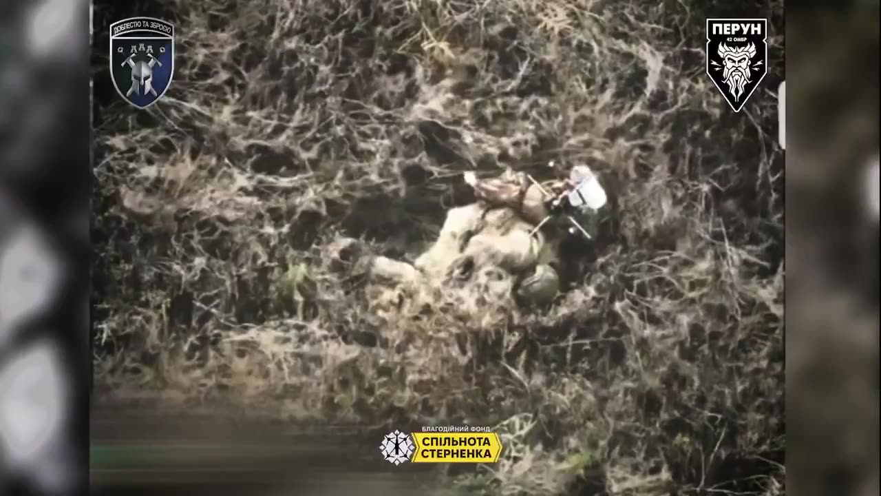 🚁💣 Ukraine Russia War | Ukrainian FPV Drone Strikes Russian Invader in Donbas | RCF