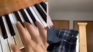 😂🎸 You Won't Believe These Dudes Jamming Skills! | FunFM
