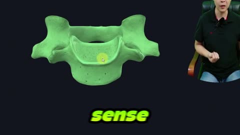 Brain Health and Nutrition: How Food Directly Shapes Your Brain