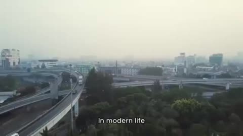 Feeling Sluggish? Your Body Might Need a Detox