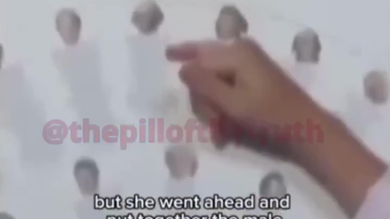 Amerikaanse presidenten