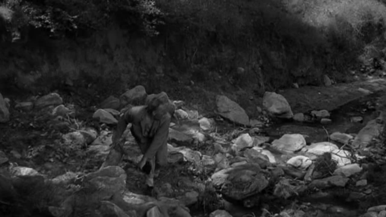 Zorba, il Greco (1964)