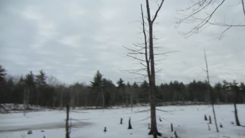 My brief overview of world events as I see it.