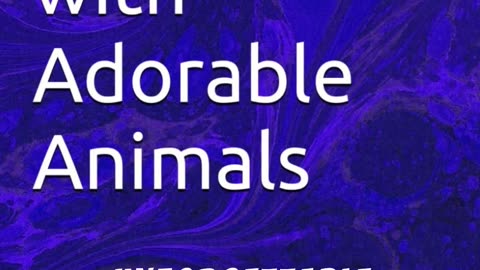 ABC Adventures: Cute Animals A to Z – A Fun Learning Journey