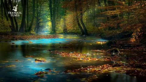Night lullaby music, Stress Relief Music - Brain relaxation songs and For insomnia