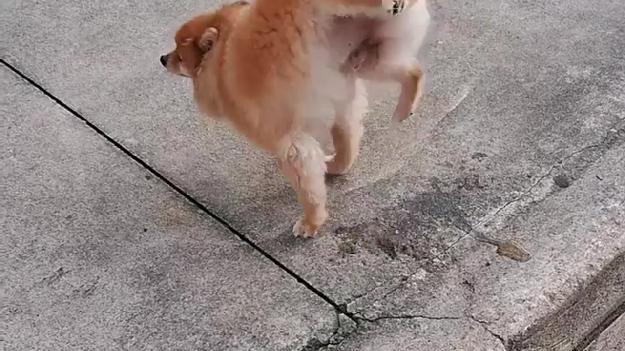 🤯🐒 I think this fella is trying to tell us something... | FunFM