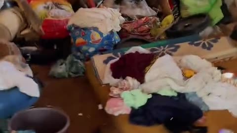 Will Any Girl Choose to stay here with me.....