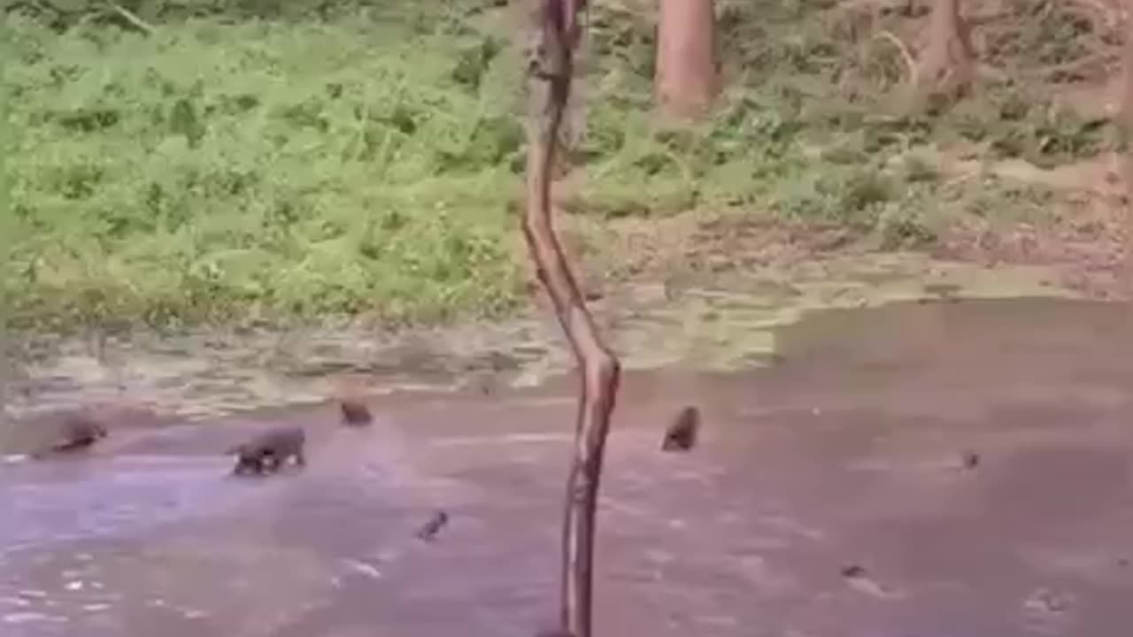 funny