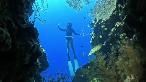 "Exploring the Hidden Paradise Beneath the Sea 🌊 | Scuba Diving Adventure"