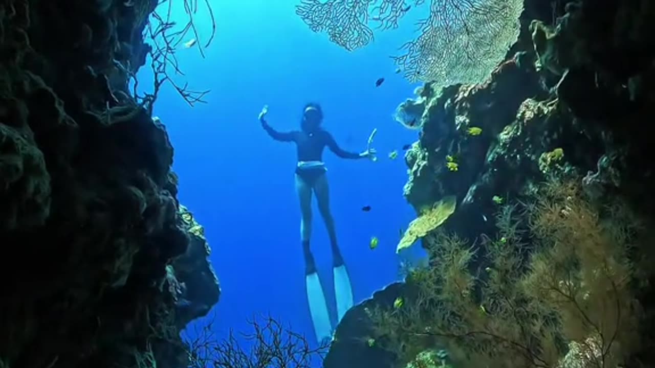 "Exploring the Hidden Paradise Beneath the Sea 🌊 | Scuba Diving Adventure"