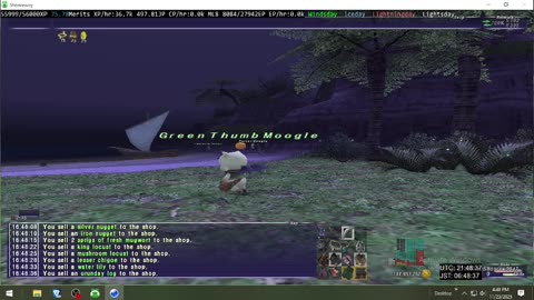 Playing Final Fantasy XI Online