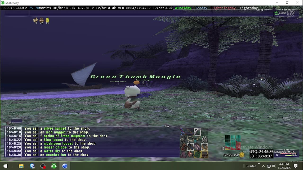 Playing Final Fantasy XI Online