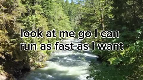 George Carlin comedy