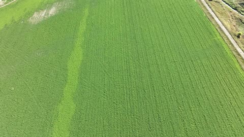 Mick Field - High altitude flight of entire field RGB