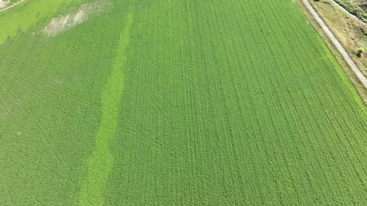 Mick Field - High altitude flight of entire field RGB