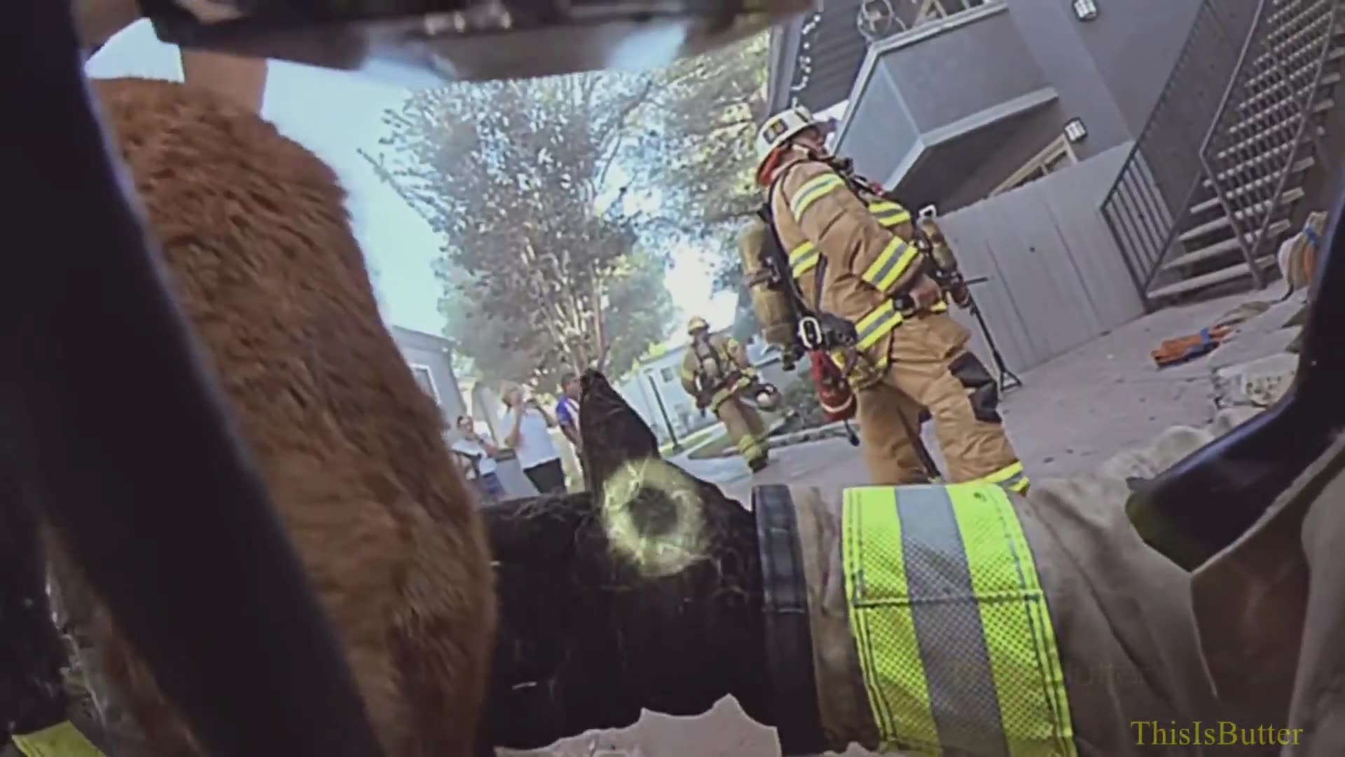 2 cats rescued from fiery apartment thanks to OC firefighters