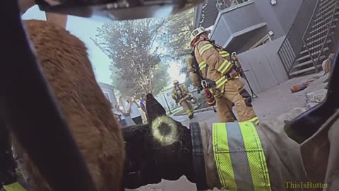 2 cats rescued from fiery apartment thanks to OC firefighters