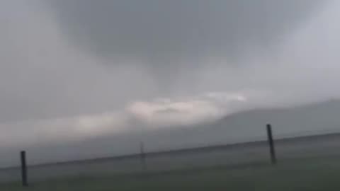 Reed Timmer videos cows going around in a tornado