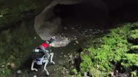 China trains robotic dogs for lunar missions, conducting tests in lava caves