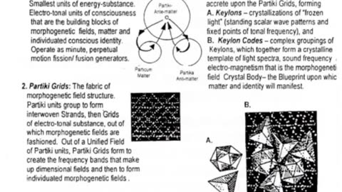 THE HOLOGRAPHIC TEMPLATE. ASHAYANA DEANE-A74