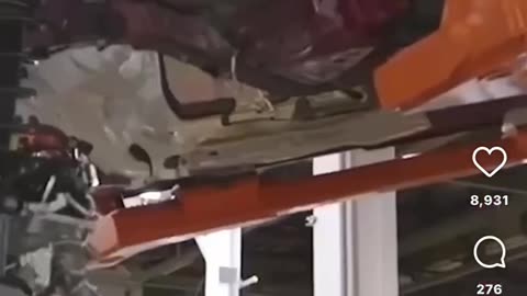 Trust in Trump 🇺🇸🟨🇺🇸