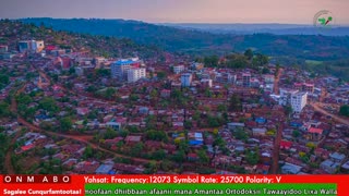 Oduu Waaree ONM-ABO Sadaasa 24-2025 itti dhiyaadhaa!