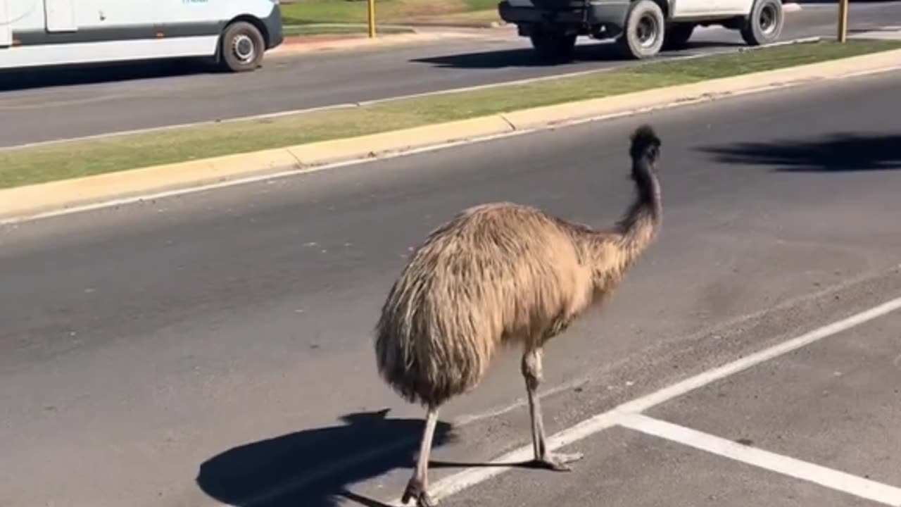 Welcome to Australia 🇦🇺