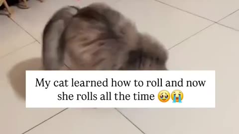 Elden Ring Dodge Spammer