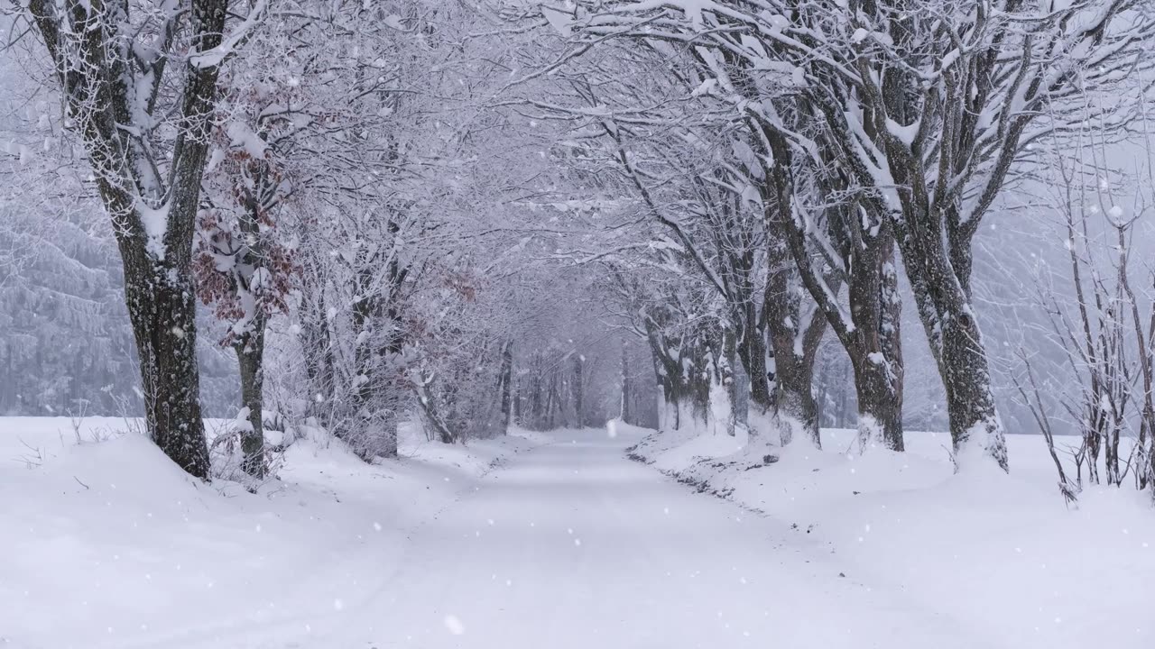 ¿Por qué la nieve es blanca si el hielo es transparente?