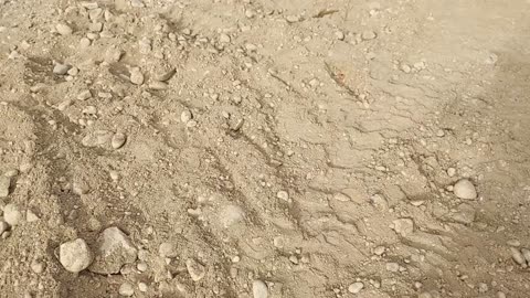 I installed a spin down filter on our water line.