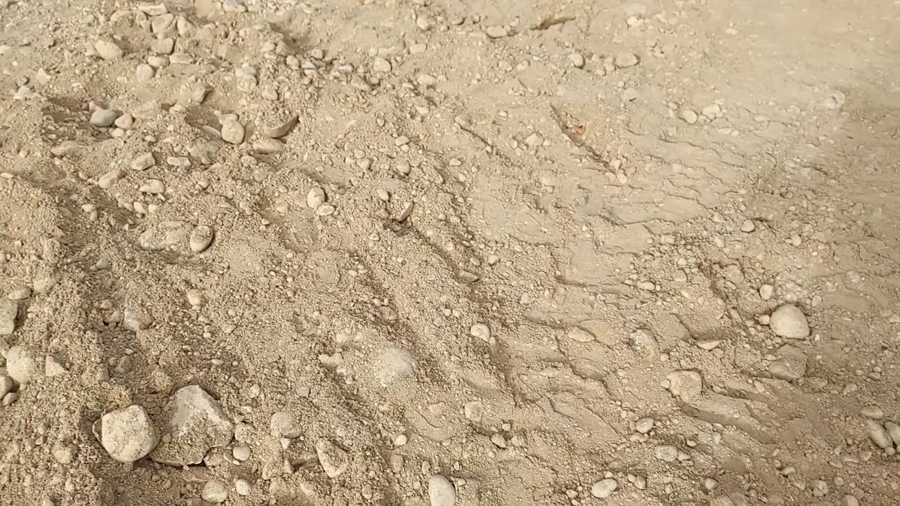I installed a spin down filter on our water line.
