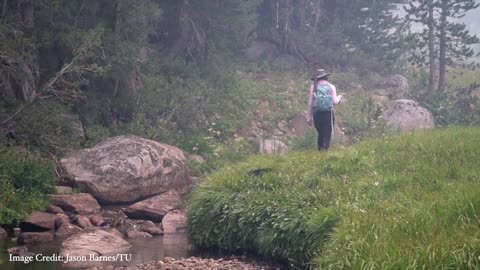 Forecasting the Future: How NASA Satellite Data Helps Trout Populations