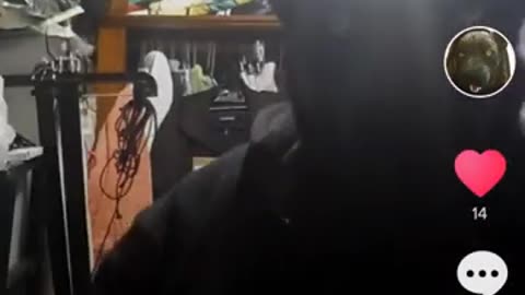 Furries on tiktok (I don't own any of the music) (1)