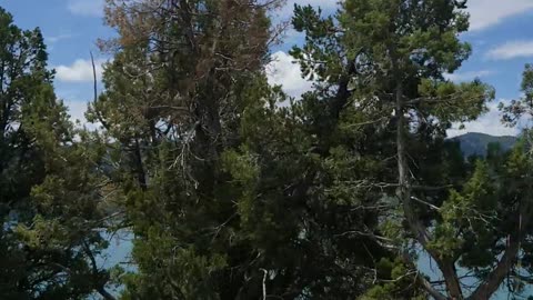 Lake Nighthorse