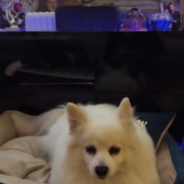 Gastoz - Andjela - Lilica - Snupi Part 1