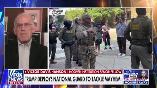 VDH: This Takes Sanctuary Cities To A New Level