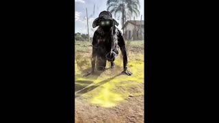 Daddy Goat 24/7 - Out Of Context Memes & Videos