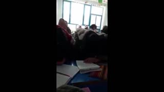 Daddy Goat 24/7 - Out Of Context Memes & Videos