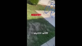 Daddy Goat 24/7 - Out Of Context Memes & Videos