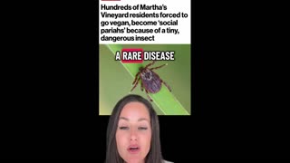 Daddy Goat 24/7 - Out Of Context Memes & Videos